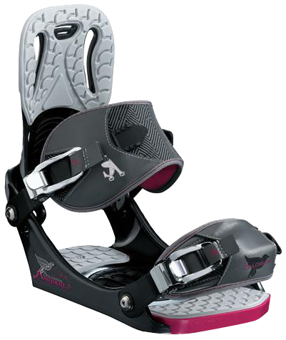 Salomon Antidote Dark Binding, 2008 - CrazySnowBoarder Review